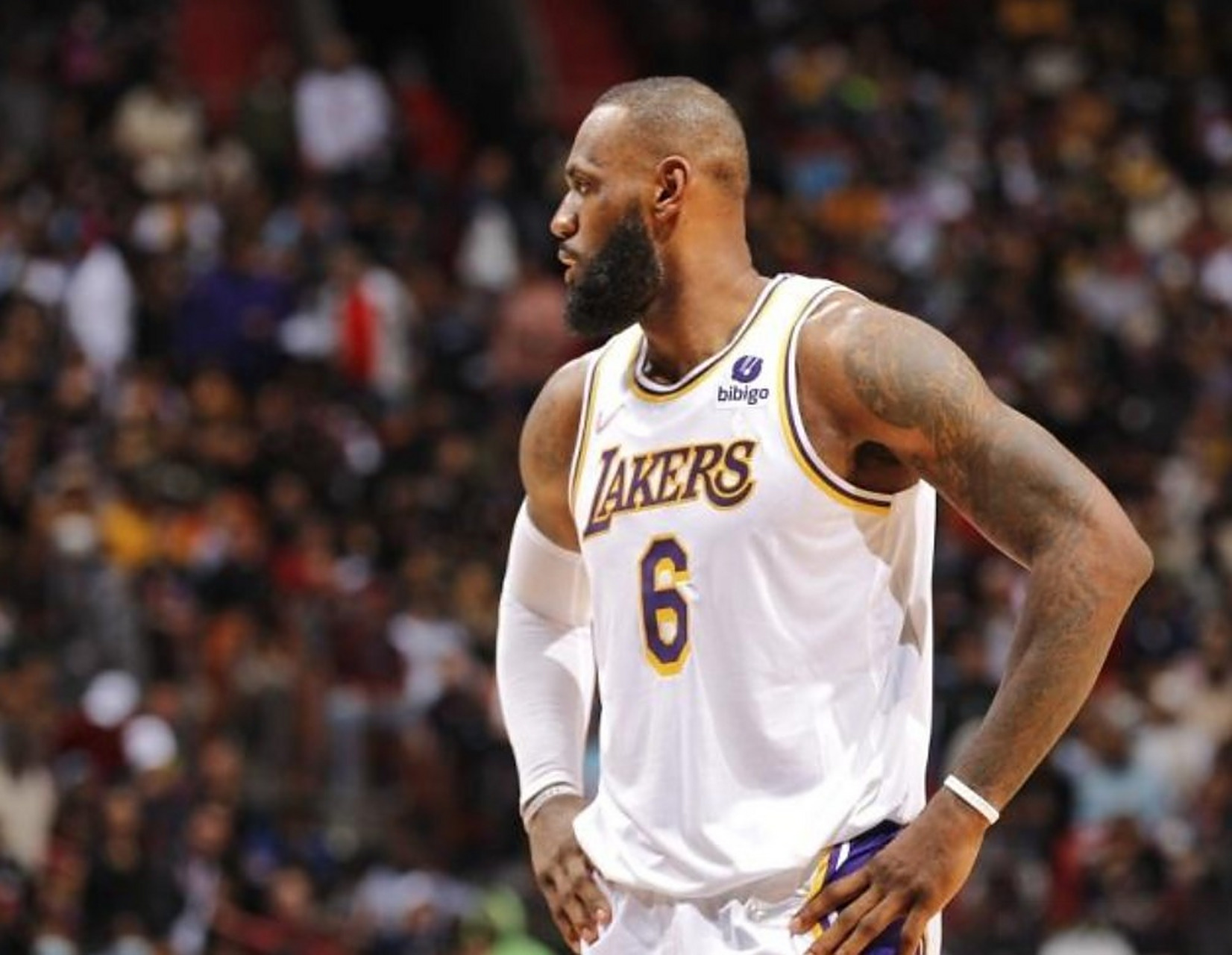 包含里程碑夜！里昂调整名单；NBA常规赛转会期刷纪录；赛场秩序良好；数据趋势出现新变化的词条-米兰体育入口