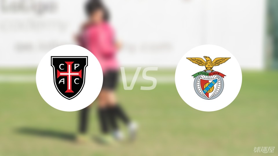 关键时刻本菲卡队长鼓劲：葡超节点到来；话题不断；更衣室氛围转暖的简单介绍-米兰体育